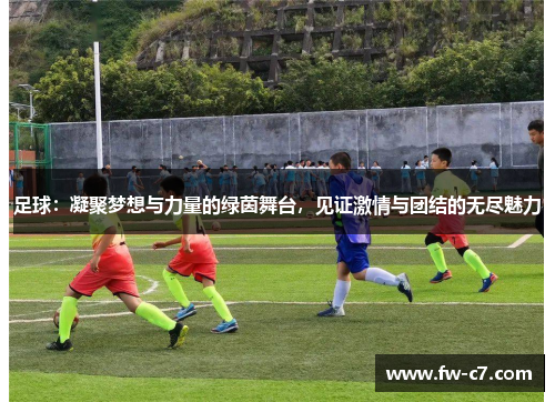 足球:凝聚梦想与力量的绿茵舞台,见证激情与团结的无尽魅力 足球:凝聚梦想与力量的绿茵舞台,见证激情与团结的无尽魅力