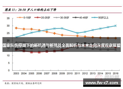国家队伤停潮下的新机遇与新挑战全面解析与未来走向深度观察展望