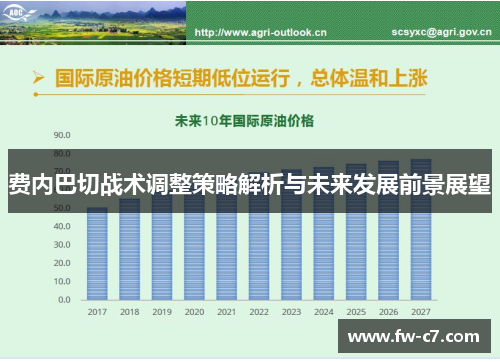 费内巴切战术调整策略解析与未来发展前景展望 费内巴切战术调整策略解析与未来发展前景展望