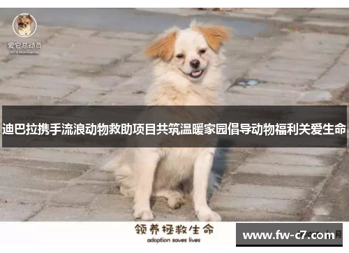 迪巴拉携手流浪动物救助项目共筑温暖家园倡导动物福利关爱生命