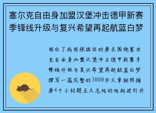 塞尔克自由身加盟汉堡冲击德甲新赛季锋线升级与复兴希望再起航蓝白梦